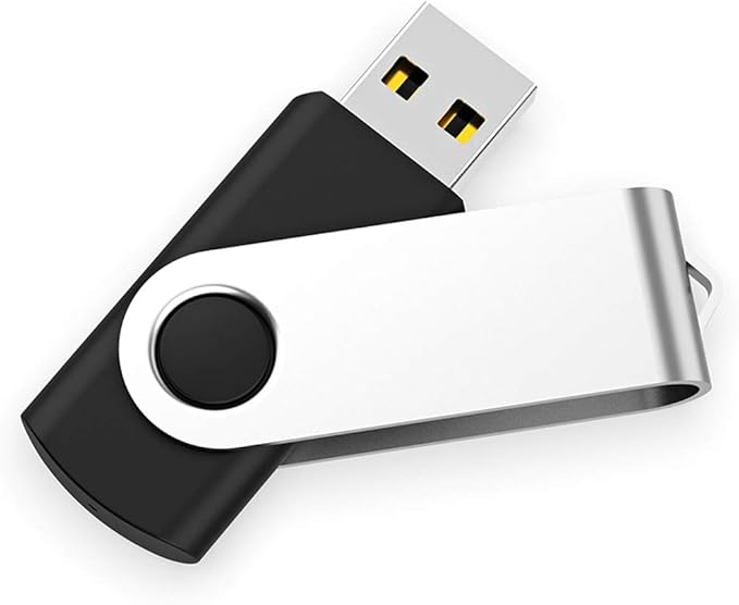 USB Flash Drive 4GB 100 Pack, Bulk USB 2.0 Flash Drives Thumb Drive Swivel Memory Stick Jump Drive Pen Drive,4 gig 100 Pieces
