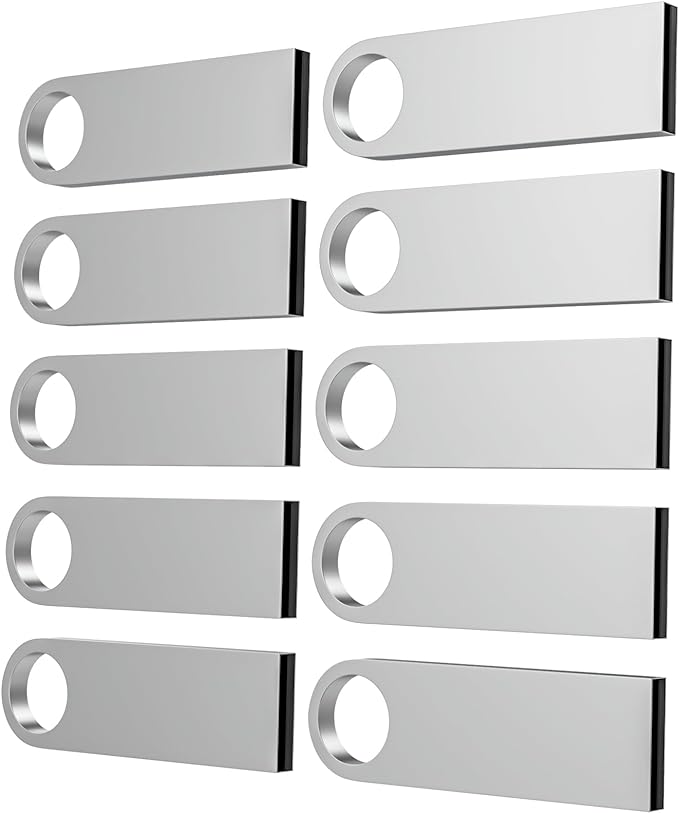 ABLAZE 2GB Flash Drive 10 Pack, Metal USB 2.0 Thumb Drives with Keychains USB Sticks Pendrives (Sliver)