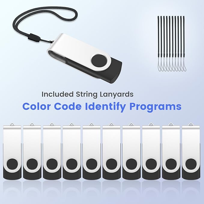 ABLAZE 2GB USB Flash Drive 100 Pack, USB 2.0 Thumb Drives Bulk Memory Sticks Pendrives 100PCS (Black)
