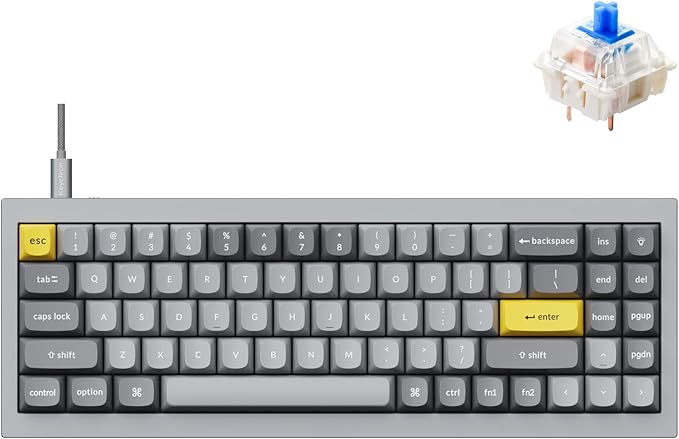 Keychron Q7 Wired Custom Mechanical Keyboard, 70% Layout QMK/VIA Programmable Macro with Hot-swappable Gateron G Pro Blue Switch Double Gasket Compatible with Mac Windows Linux (Grey)