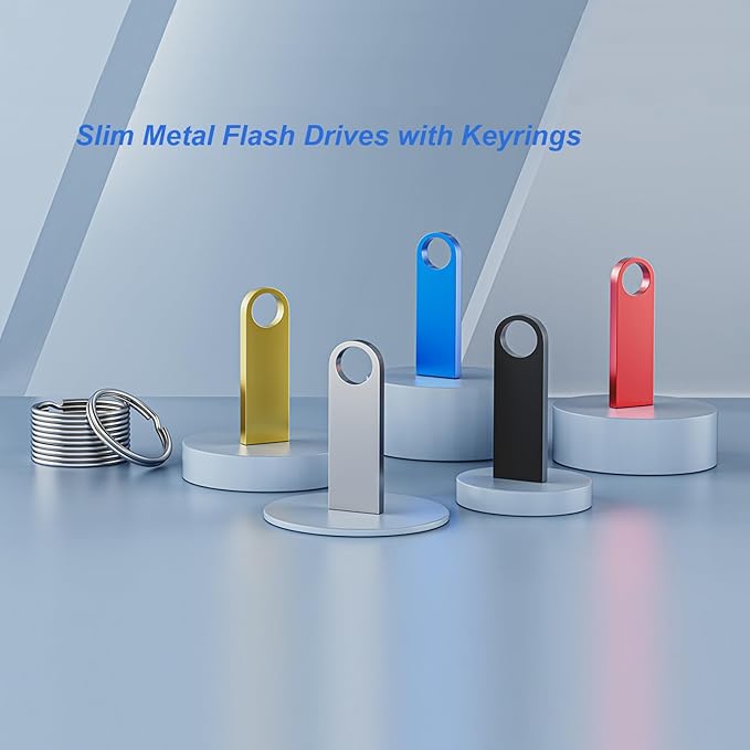 20 Pack 1GB USB Flash Drive with Keychains, Wooolken Sleek Metal USB 2.0 Thumb Drives Memory Stick for PC Laptop Computer(Sliver)