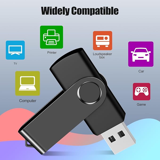 EASTBULL 1GB USB Flash Drive Bulk Thumb Drives 20 Pack with Lanyards USB 2.0 Memory Sticks Zip Drive Pen Drive for Storage and Backup Black 20PCS 1GB