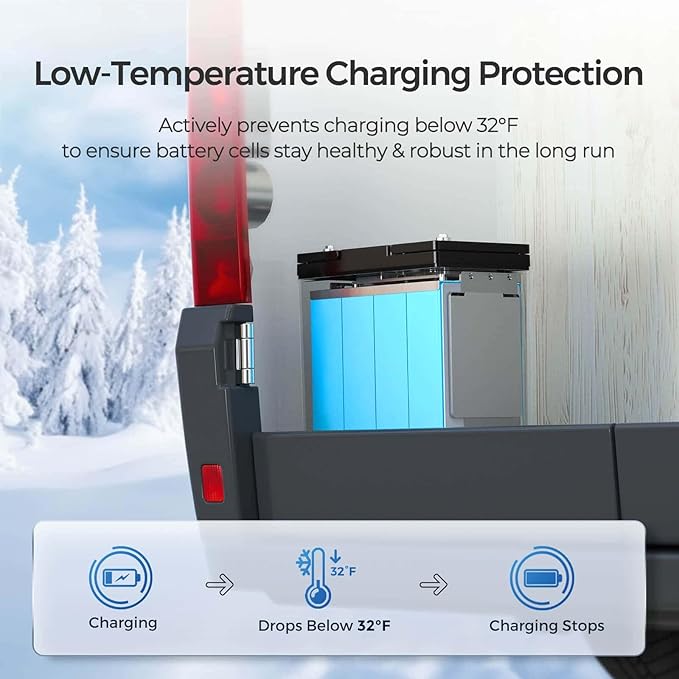 Renogy 2PCS 12V 100Ah Mini Size LiFePO4 Lithium Battery, 100A BMS for Ultimate Safety, Deep Cycle Remote Monitoring, Backup for RV, Cabin, Marine, 200ah LiFePO4 Lithium Battery - Core Series