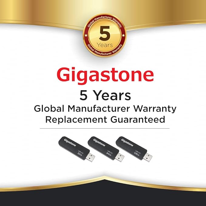 GIGASTONE V30 128GB USB 2.0 Flash Drive 2-Pack, Capless Retractable Design Pen Drive, Carbon Fiber Style, Reliable Performance & Durable