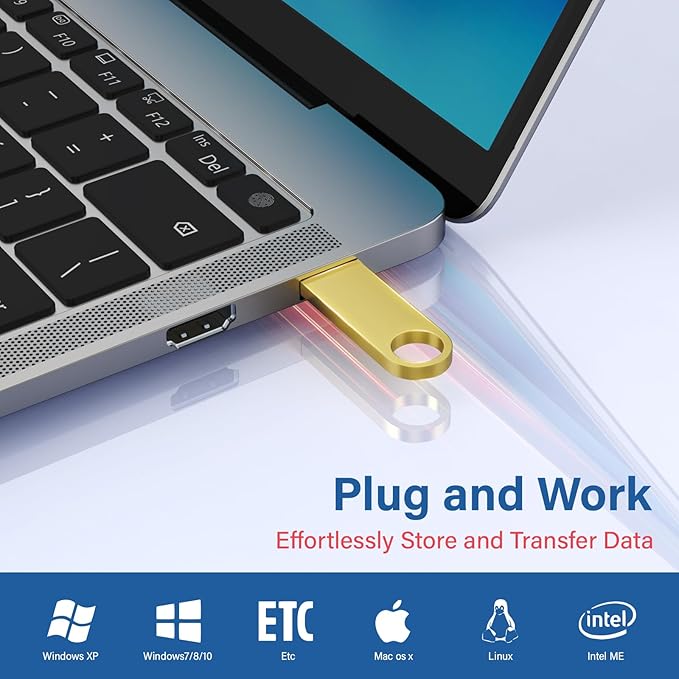 1GB USB Flash Drive 2 Pack with Keychains, Wooolken Sleek Metal USB 2.0 Thumb Drives Memory Stick for PC Laptop Computer