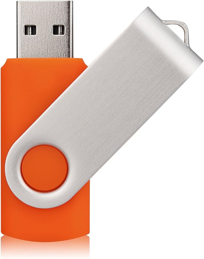 Aiibe 10 Pack 64 GB USB Flash Drives Thumb Drive Jump Drives 64GB 2.0 Flash Drive Bulk (10 Mixed Colors: Black Blue Red Green Orange White Yellow Pink Purple Silver)