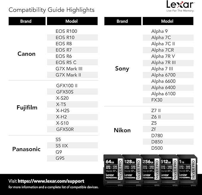 Lexar 256GB Professional SILVER PRO SD Card, UHS-II, C10, U3, V60, Full HD, 4K, Up To 280MB/s Read SDXC Memory Card, for Professional Photographer, Videographer, Enthusiast (LSDSIPR256G-BNNNU)