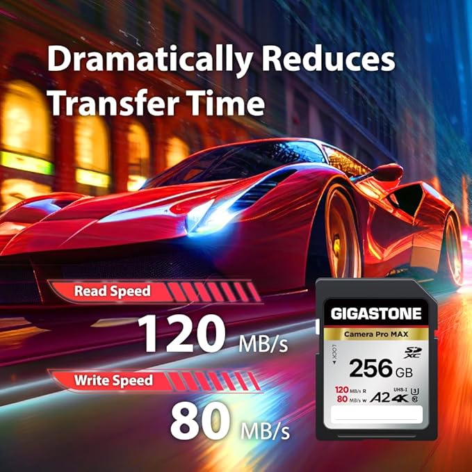 [5-Yrs Free Data Recovery] GIGASTONE 256GB 2-Pack SD Card, 4K Camera Pro MAX, A2 4K SDXC Memory Card High Speed 4K UHD Video Compatible with Canon Kodak Digital Camera, with 2 Mini case