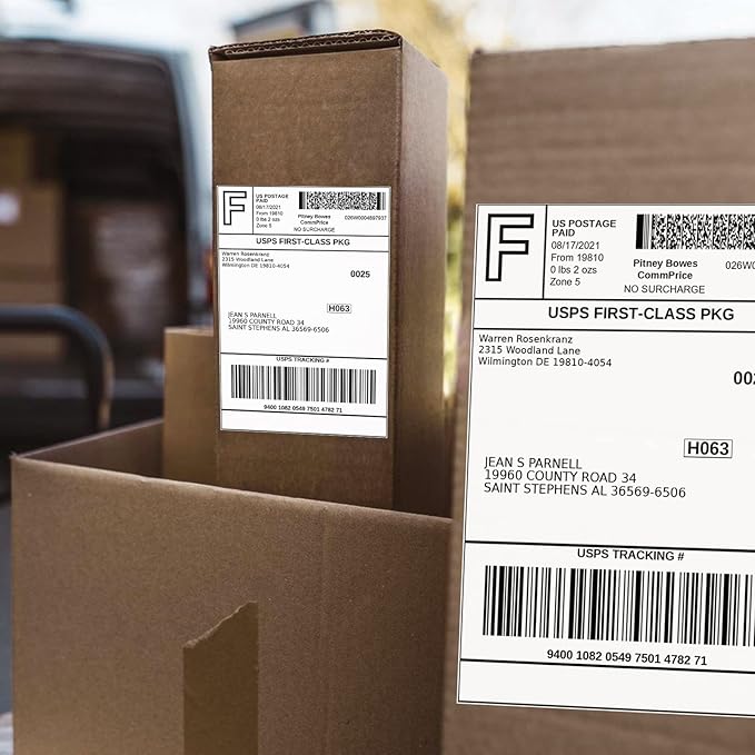FungLam 100 Rolls 4x6 Direct Thermal Shipping Labels, 250 Labels Per Roll, 1" Core, Perforated, White Mailing Postage Shipping Label Compatible with Zebra 2844 ZP-450 ZP-500 ZP-505