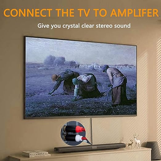 RCA Cable 10Ft,2Rca Male to 2-RCA Male Audio Stereo Subwoofer Cable [Hi-Fi Sound] Nylon-Braided Auxiliary Audio Cord for Home Theater, HDTV, Amplifiers, Hi-Fi Systems,Speakers and etc(10Ft/3M)