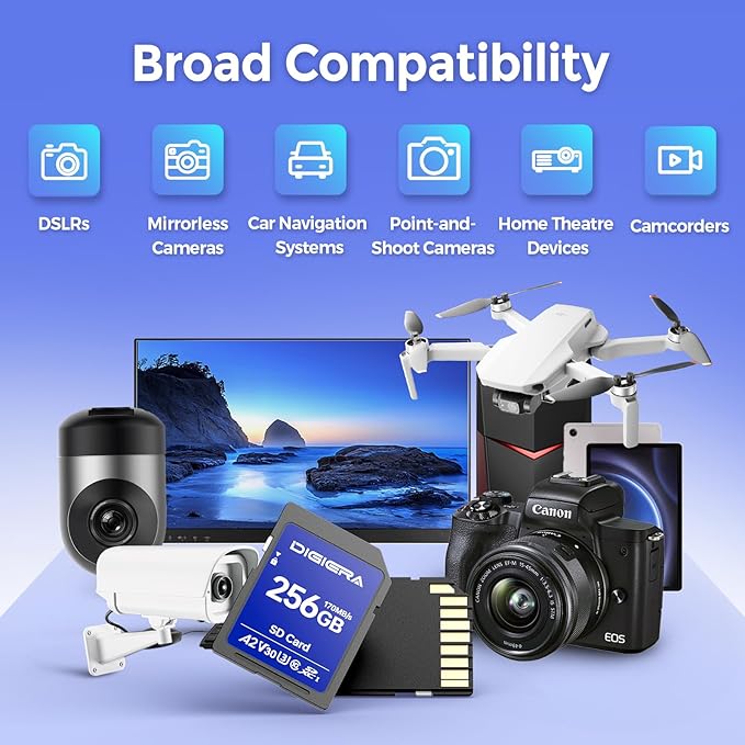 256GB LS100 SDXC UHS-I Memory Card - up to 170MB/s, C10, U3, V30, 4K UHD, SD Card for Computers, Digital Cameras, Home Theatre Devices, Car Navigation Systems (1 Pack)