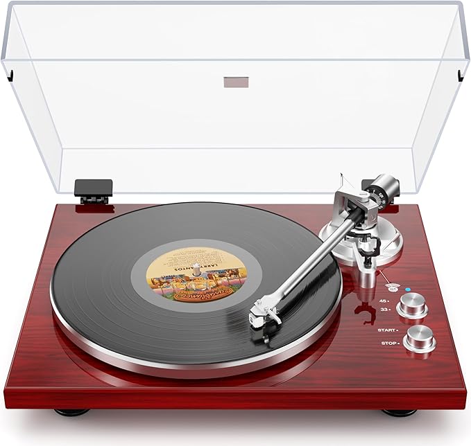 Belt Drive Turntable for Vinyl Record Player,Connect with Bluetooth Speakers or Active Speaker,Built-in Phono Pre-amp,USB Digital Output, Magnetic Cartridge,High-Gloss Wood Design(Red)