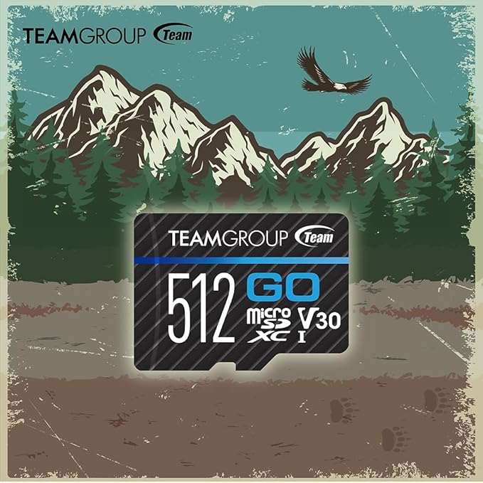 TEAMGROUP GO Card 128GB 10 Pack Micro SDXC UHS-I U3 V30 4K for GoPro & Drone & Action Cameras High Speed Flash Memory Card with Adapter for Outdoor Sports, 4K Shooting, Nintendo-Switch TGUSDX128GU373