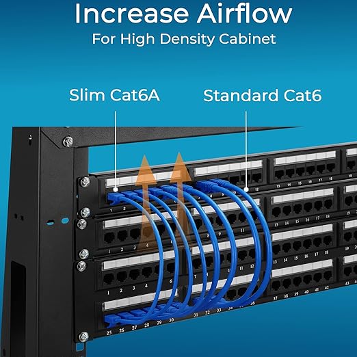 Rapink Cat6a 5ft Ethernet Cables (10 Pack) - Slim, 10G Support, Snagless, Flexible with Gold Plated Connectors