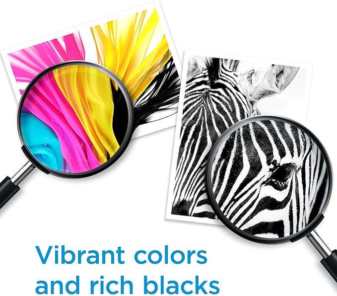 HP 62XL Black High-yield Ink Cartridges for HP Printers | Works with Printer Series: ENVY 5540, 5640, 5660, 7640, OfficeJet 5740, 8040, OfficeJet Mobile 200, 250 | Instant Ink | C2P05AN