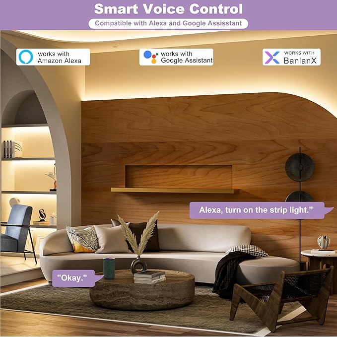MIWISE LED Dimmer,Smart WiFi+Bluetooth Dimmable Controller with RF Remote,Work with Alexa/Google,Two Ports 5V/12V/24V for 3528/2835/5050/SMD COB Single Color LED Strip Lights,Timer/Memory Function