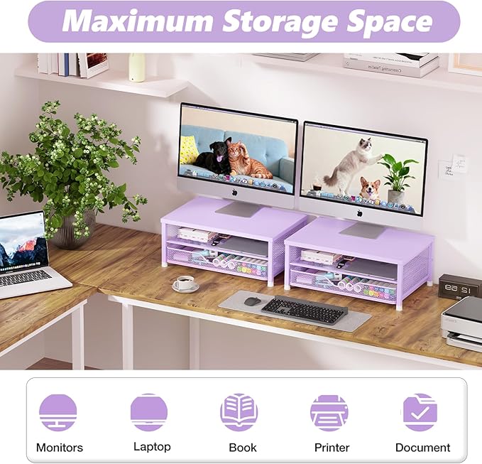 Desk Organizers and Accessories, 2-Tier Computer Monitor Stand Riser with Drawer, Laptop Stand, Office Desk Accessories, Workspace Desktop Organizer for Office Supplies, Purple